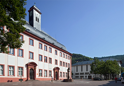 Ruprecht-Karls-Universität Heidelberg