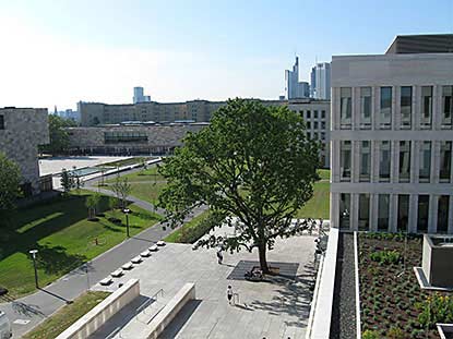 Goethe-Universität Frankfurt am Main